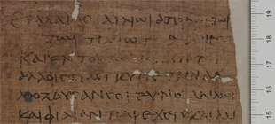 Papyri